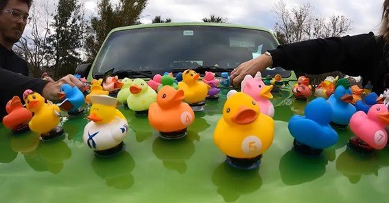 jeep ducks